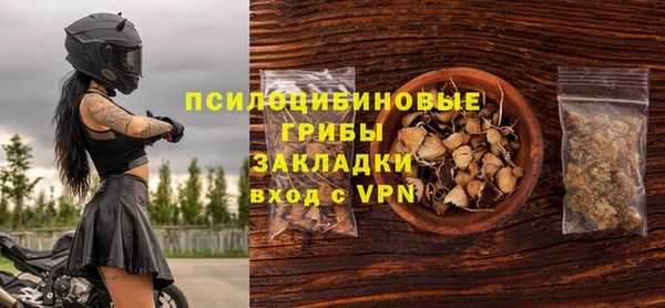 прущий лед Михайлов