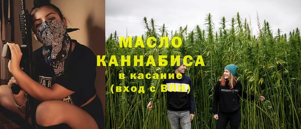 прущий лед Михайлов