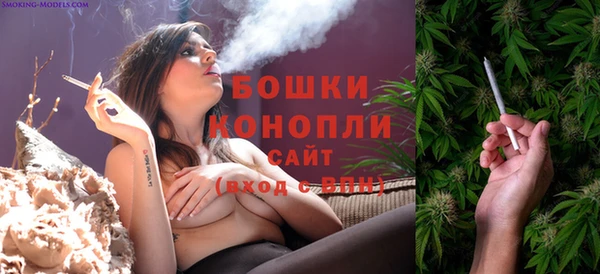 дмт Михайловск