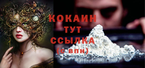 дмт Михайловск