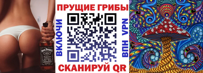 Галлюциногенные грибы Cubensis  что такое   OMG зеркало  Краснокамск 